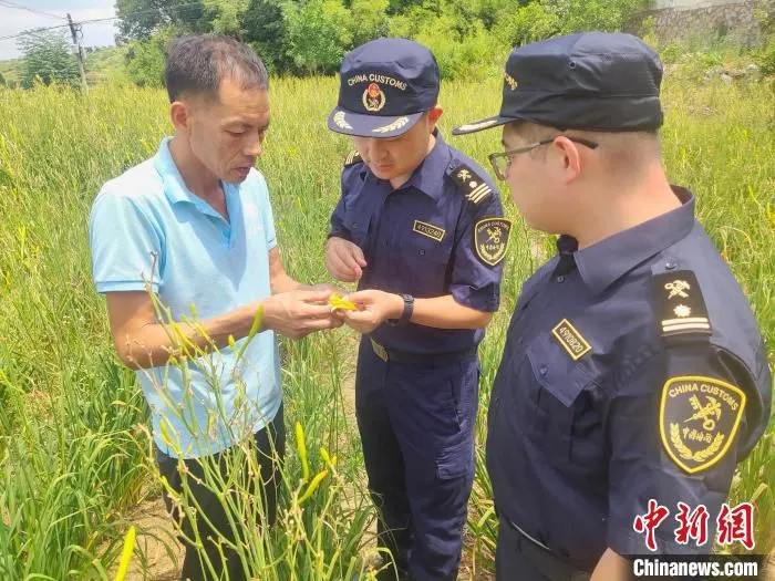 衡阳海关工作人员到祁东县开展深入调研，蹲点查找产业堵点。　隋鑫 摄
