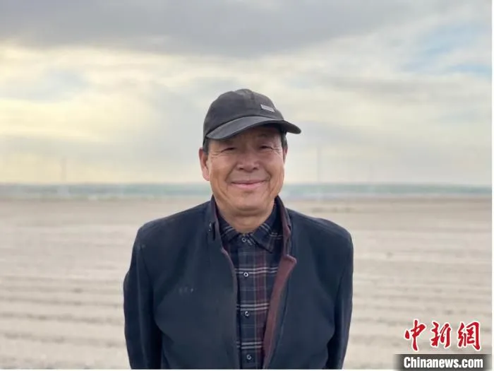 甜菜种植户莘平 王东宇 摄