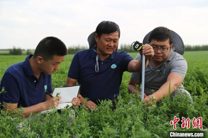 图为科研人员采集苜蓿草数据。　李光明 摄