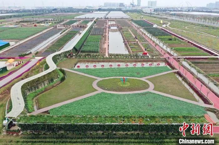 俯拍南沙明珠农业公园 南沙区政府 供图