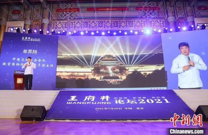 图为中国文物学会会长、故宫博物院学术委员会主任、东城文化发展研究院院长单霁翔演讲。　中新社记者 贾天勇 摄
