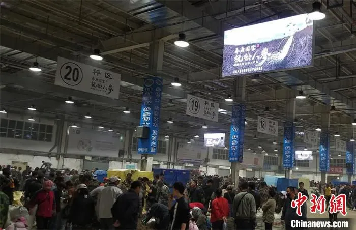 抚松人参交易现场。白山市委宣传部供图