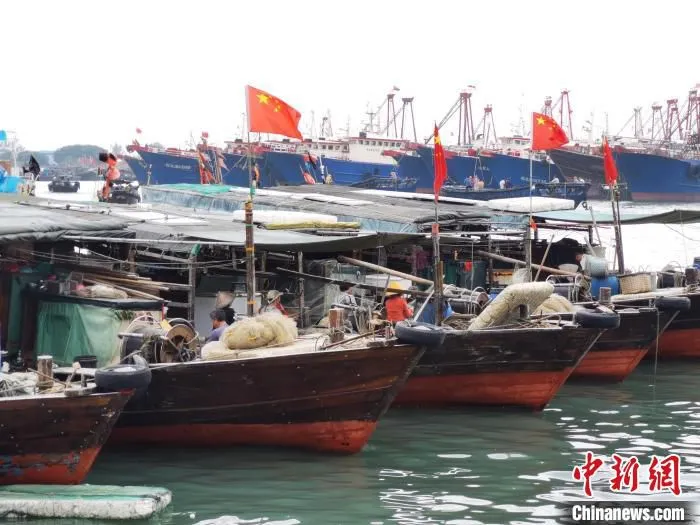 图为广西北海侨港镇电建渔港。(资料图) 翟李强 摄
