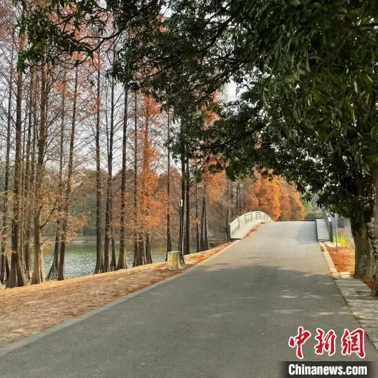 华南植物园一景(资料图) 王坚 摄