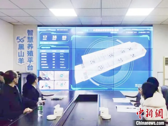 图为5G+黑山羊智慧养殖平台。　马佳欣 摄