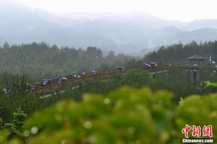 在雨水的润泽下，武平中山河国家湿地公园呈现出别样美景，如一幅山水画。