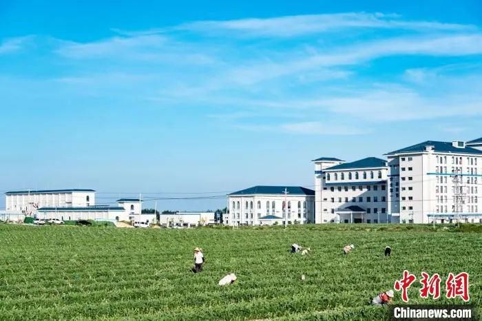 中广核汕尾后湖50万千瓦海上风电项目陆上集控中心。　中广核 供图