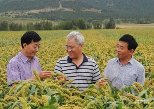 【开局十四五】 辽宁：东北振兴激活绿色智造红利 老工业基地变身吸金“强磁场”