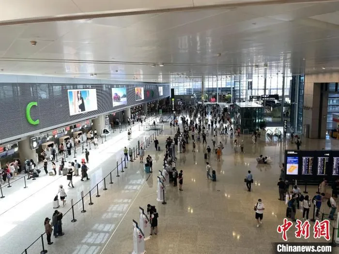 今年上半年，上海浦东、虹桥两大机场客流量3606万人次 李秋莹 摄