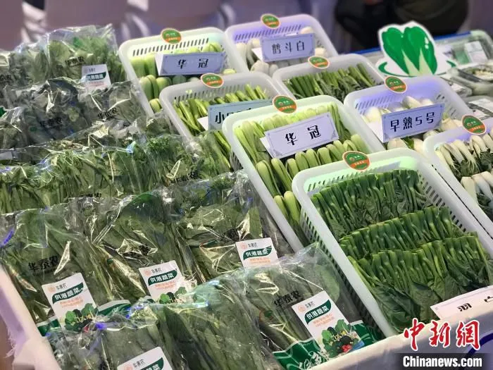 宁夏供港蔬菜。　李泽阳 摄