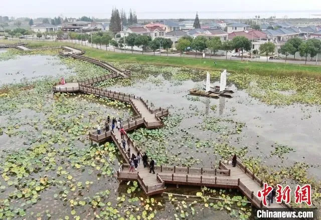 图为扬州沿湖村。　泱波 摄