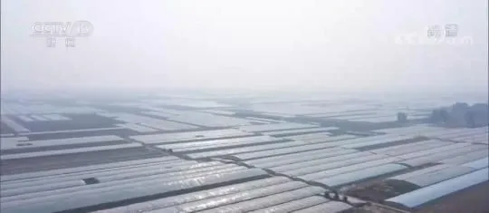 各地多措并举保障冬春蔬菜供应 做好“菜篮子”保供稳价工作