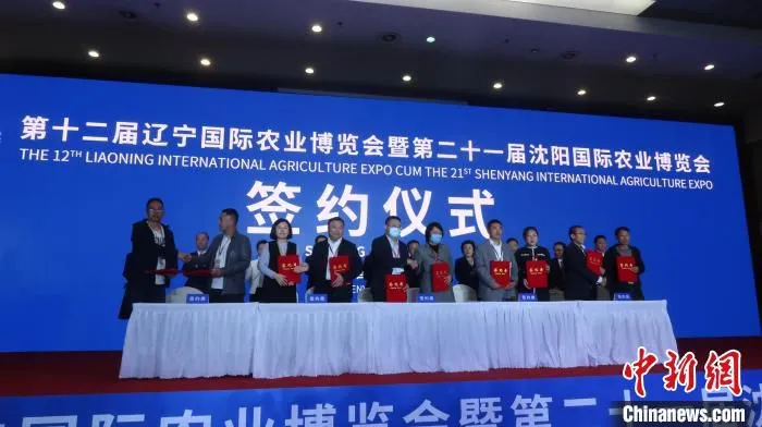 现场签约仪式。　李晛 摄
