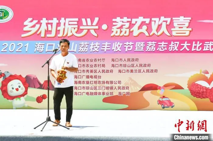 图为“荔志叔”展示自己种植的荔枝。凌楠 摄 凌楠 摄
