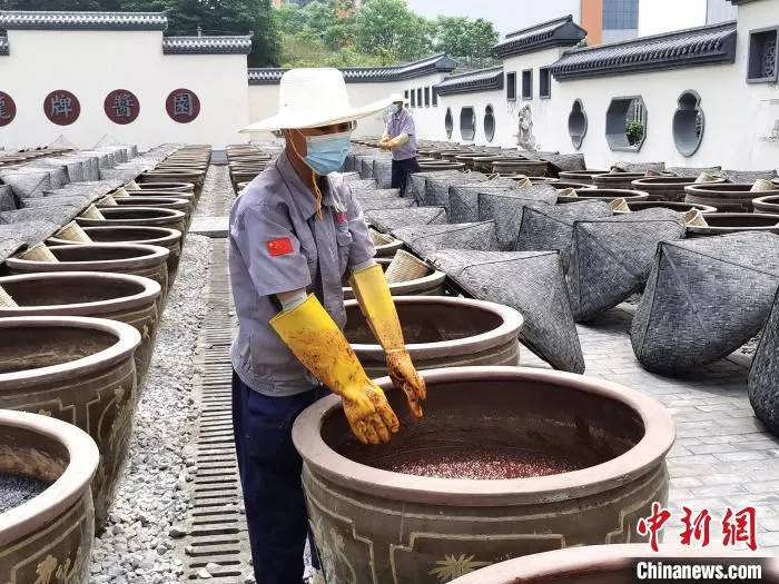 在龙牌酱油晒场，匠人们在翻胚。　向一鹏 摄
