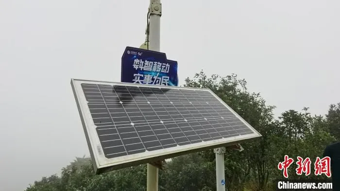 布置在广东潮州凤凰山天池茶园内的传感器设备。　郭军 摄