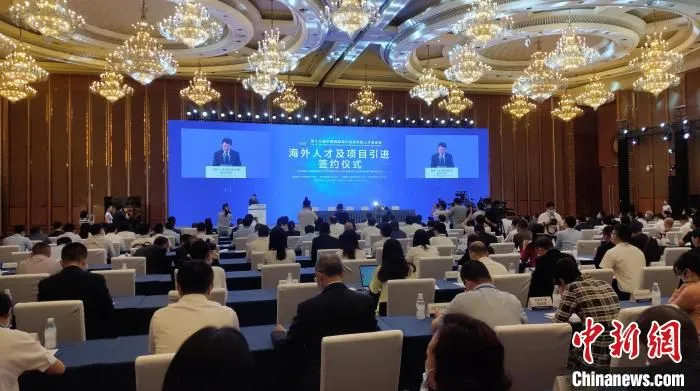 海外人才及项目引进签约仪式现场。　王鹏 摄