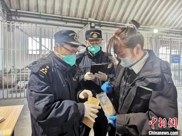 图为兰州海关人员监管进出口货物。(资料图) 兰州海关供图 摄
