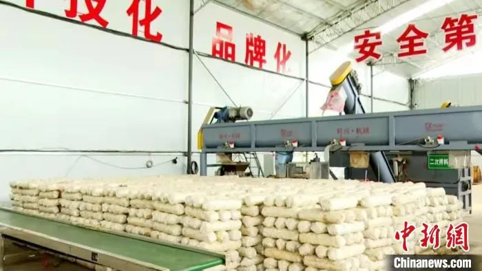 香菇菌棒整齐摆放。　长子县融媒体中心提供