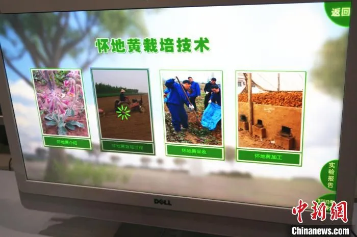 图为赵章红团队研发的“怀地黄定向栽培可视化系统”。　韩章云 摄