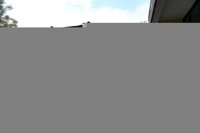 井楠村利用闲置房屋改造的民宿 张娅子 摄