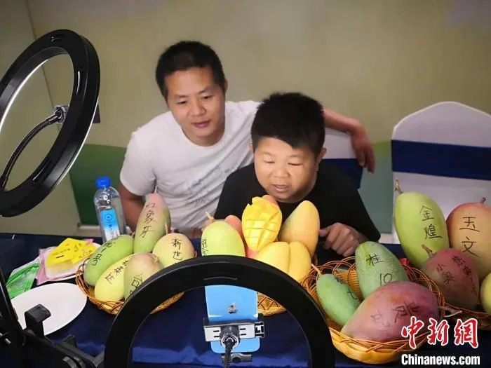 网络达人助推百色芒果行销。　杨强 摄