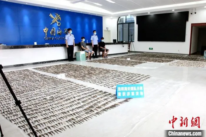 图为涉案海马干。　马健超　摄