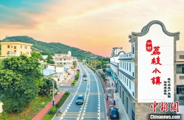 增城仙村荔枝小镇(资料图) 广州增城区委宣传部 供图