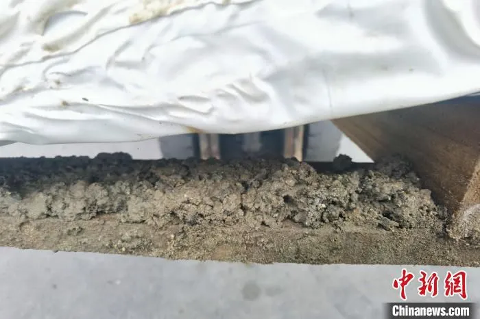 南昌海关所属九江海关查验关员发现装载盐渍牛皮的木托盘明显附着有土壤。　胡怡明 摄