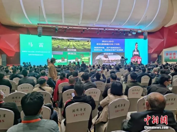图为项目发布现场。 中新社记者 瞿宏伦 摄