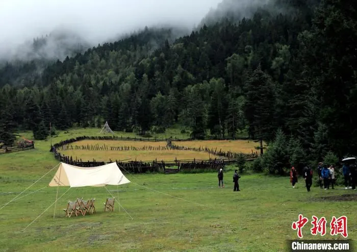 上纳咪村光和云朵民宿公共区域，草地、森林、雪山等景观丰富，常吸引年轻人前来拍摄写真。　王磊 摄