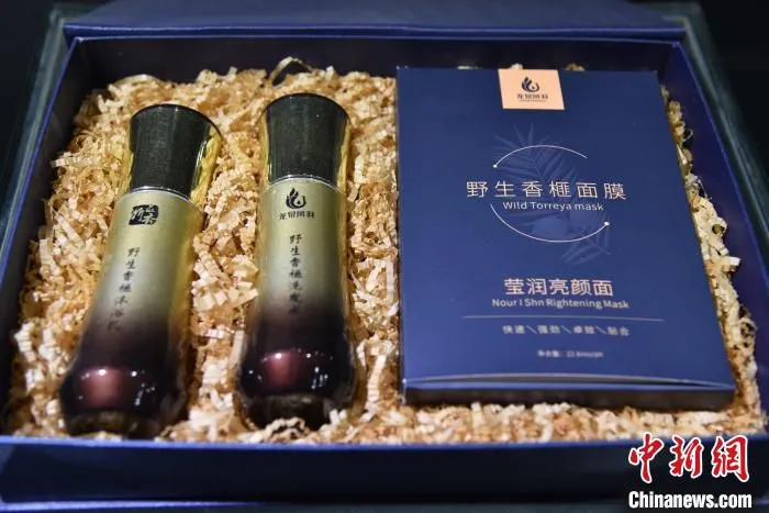 野生香榧面膜 范宇斌 摄