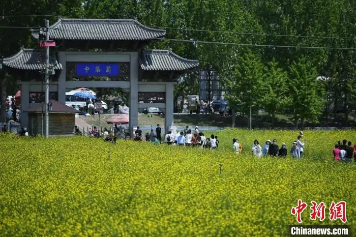 图为游客在中草药文化园内打卡拍照 中新社记者 佟郁 摄 摄