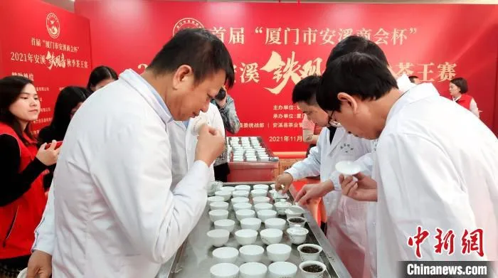现场评委由安溪县茶管委从茶叶质量审评评委库中派出。　杨伏山 摄