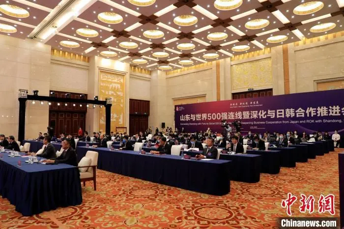 12月2日，“山东与世界500强连线”暨深化与日韩合作推进会在济南举行。　李欣 摄