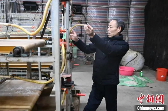 图为张景晏查看改造完成后鸡舍内的食槽。　刘亮 摄