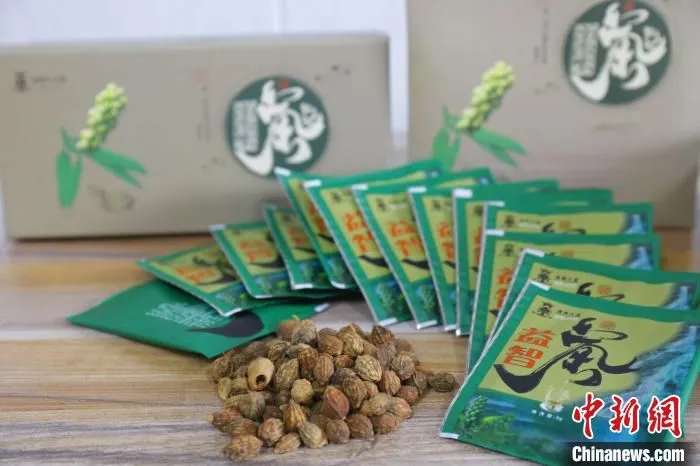 益智茶。　王晓斌 摄
