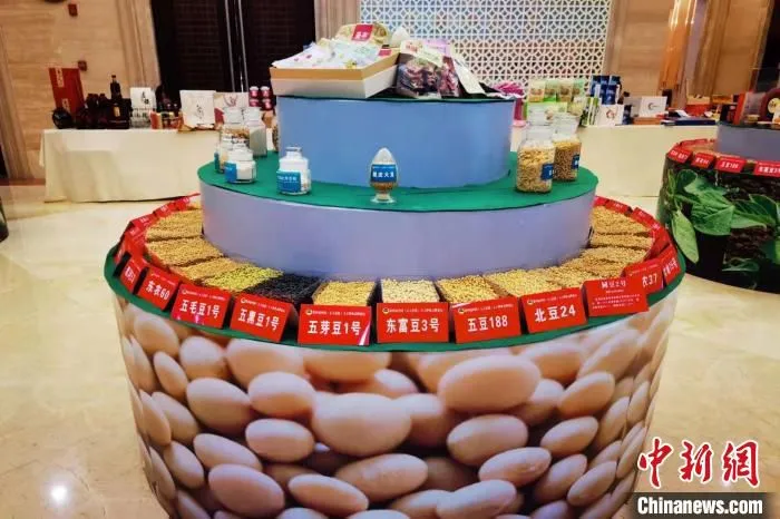 大豆新品种在展会现场集中亮相 王琳 摄 大豆新品种在展会现场集中亮相 王琳 摄