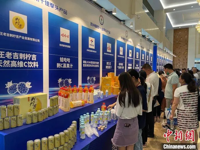 图为与会客商了解贵州刺梨产品。　袁超 摄