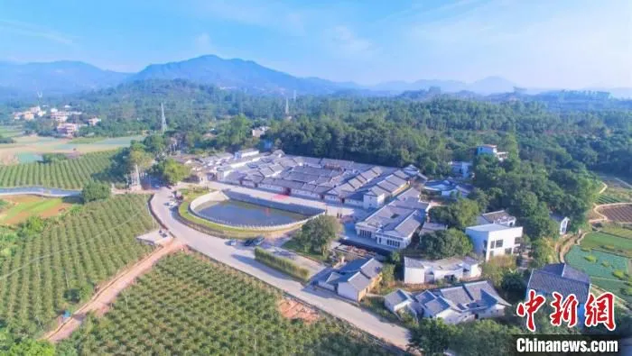 惠州秋山街道茶园村 广东省自然资源厅供图