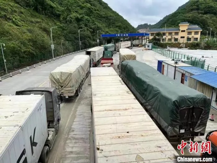 图为浦寨货运专用通道车辆有序通关 广西商务厅供图
