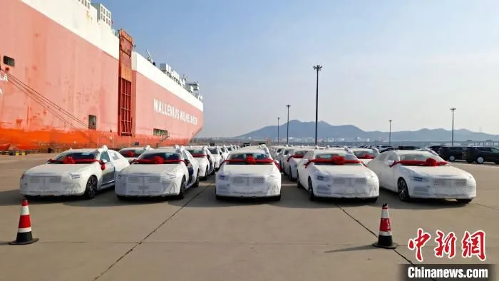 图为45辆沃尔沃S90型商品车，21日在大连汽车码头顺利装船出海。　刘仁超 摄