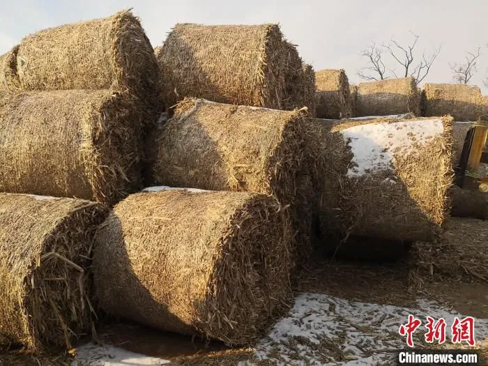 图为打捆完成的的秸秆圆捆。　青海省农业农村厅供图