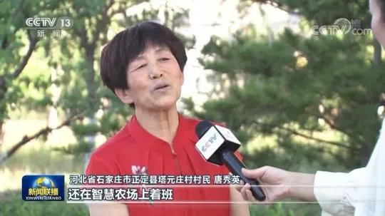 【走进县城看发展】河北正定：古今交融气象新