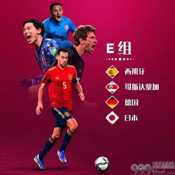 世界杯小组赛E组巡礼