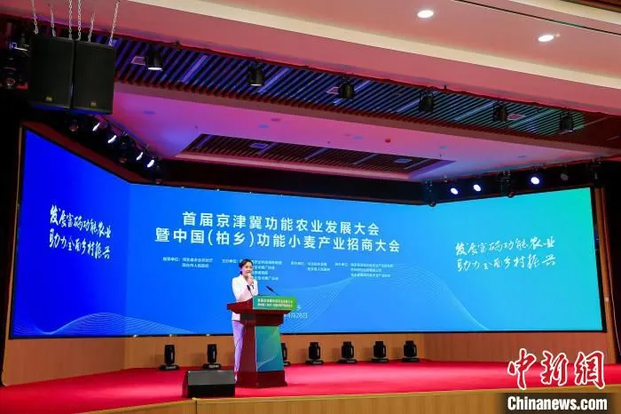 图为当时活动现场。　活动方供图 摄
