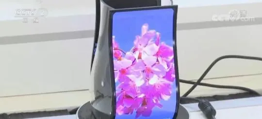 2021中国经济半年报看外贸 | 增强内生动力 民营企业持续拉动外贸增长