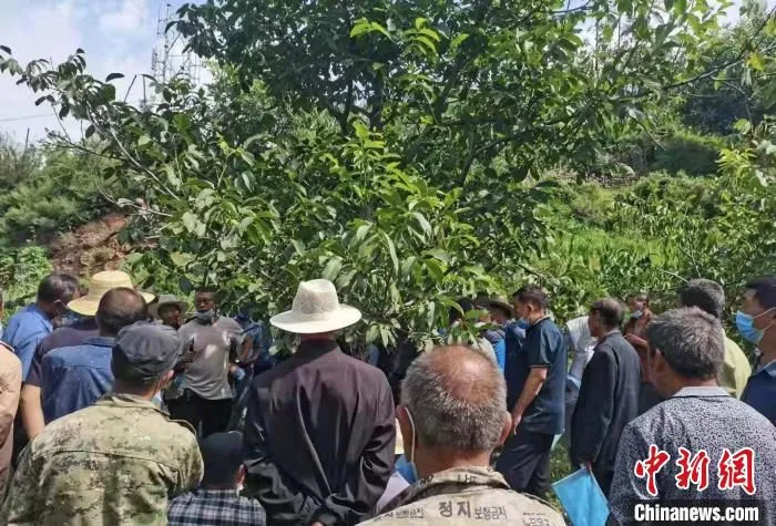 图为农业技术人员在田间地头向农民传授农业技术。　王晶 摄