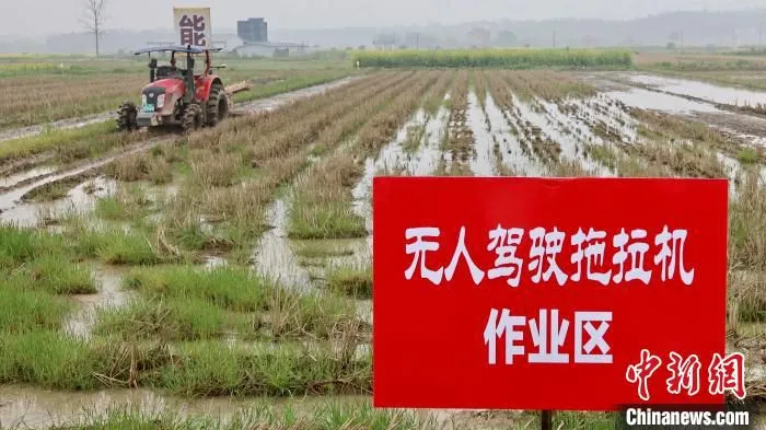 科技进乡村背景下，江山市的无人驾驶拖拉机作业区。　钱晨菲 摄