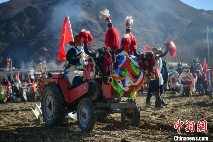 图为西藏自治区拉萨市堆龙德庆区德庆村村民在春耕仪式上开着自家的拖拉机耕田。(资料图) 贡嘎来松 摄